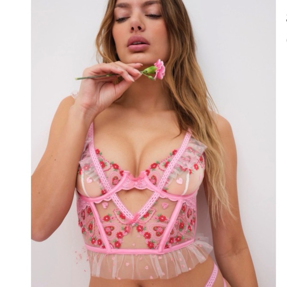 NWOT For Love & Lemons Pink Floral Embroidered Sheer Bustier
